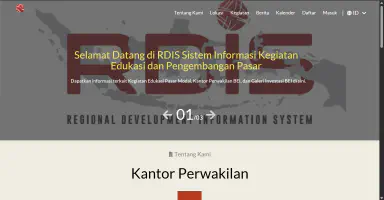 RDIS - Business Development System's featured image